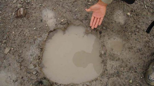 File:Elephants footprint.jpeg